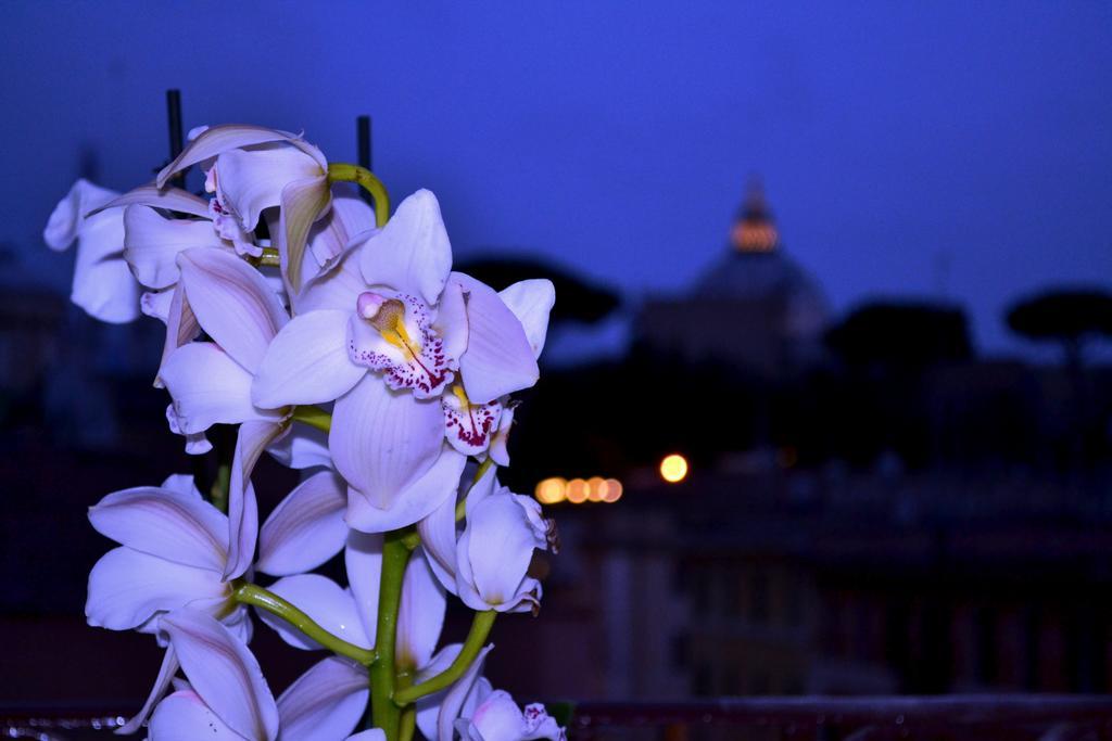 Lejlighed Notti Al Vaticano Rom
